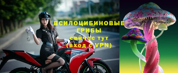 дурь Михайлов